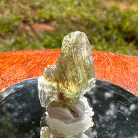 Moldavite 0.8 grams #2111-Moldavite Life