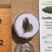 Moldavite 0.8 grams #2111-Moldavite Life