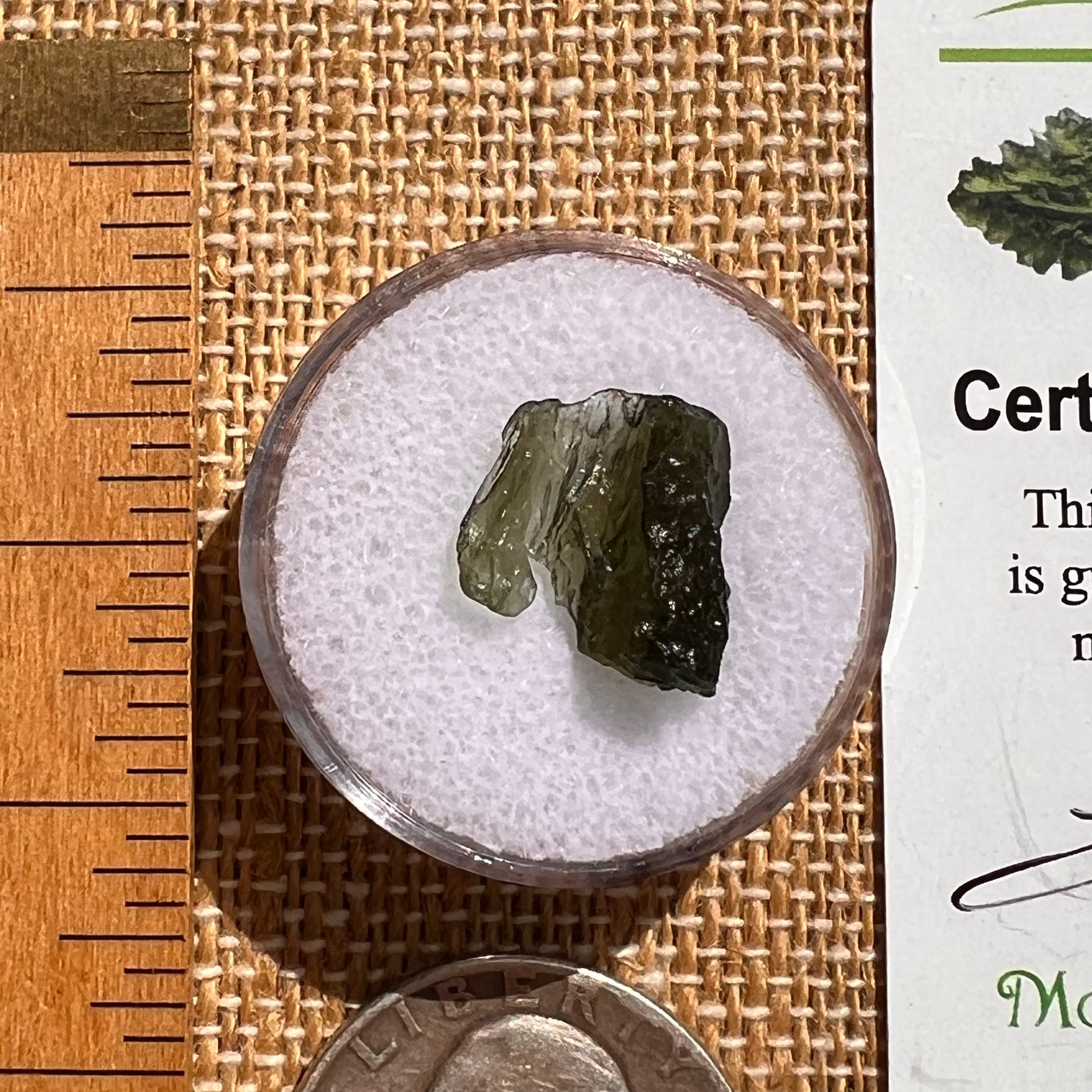 Moldavite 0.8 grams #2112-Moldavite Life
