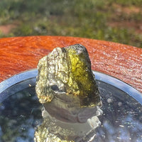 Moldavite 0.8 grams #2112-Moldavite Life