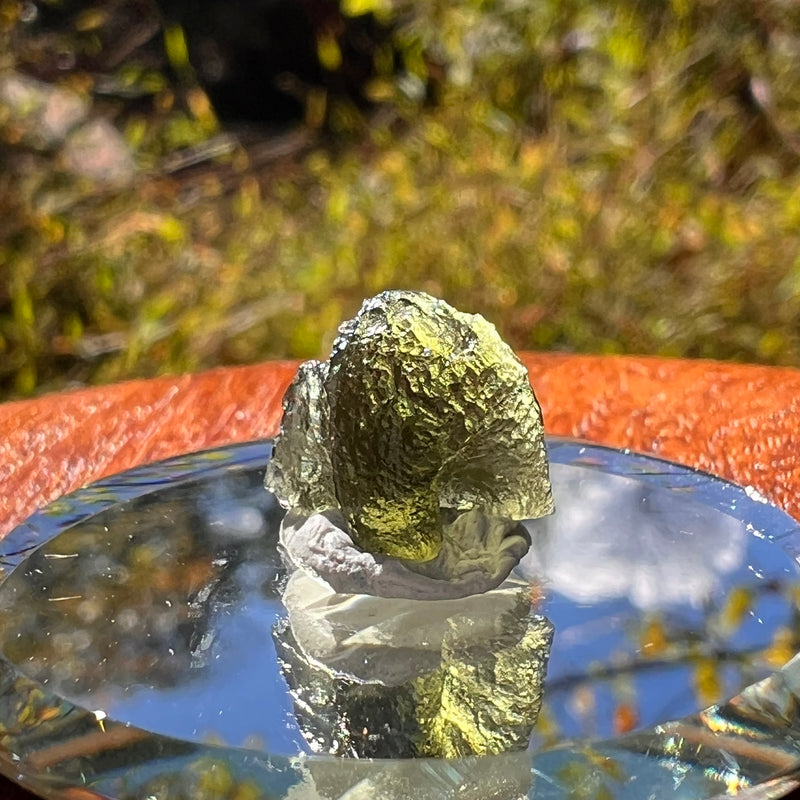 Moldavite 0.8 grams #2238-Moldavite Life