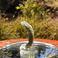 Moldavite 0.8 grams #2253-Moldavite Life