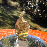 Moldavite 0.8 grams #2346-Moldavite Life