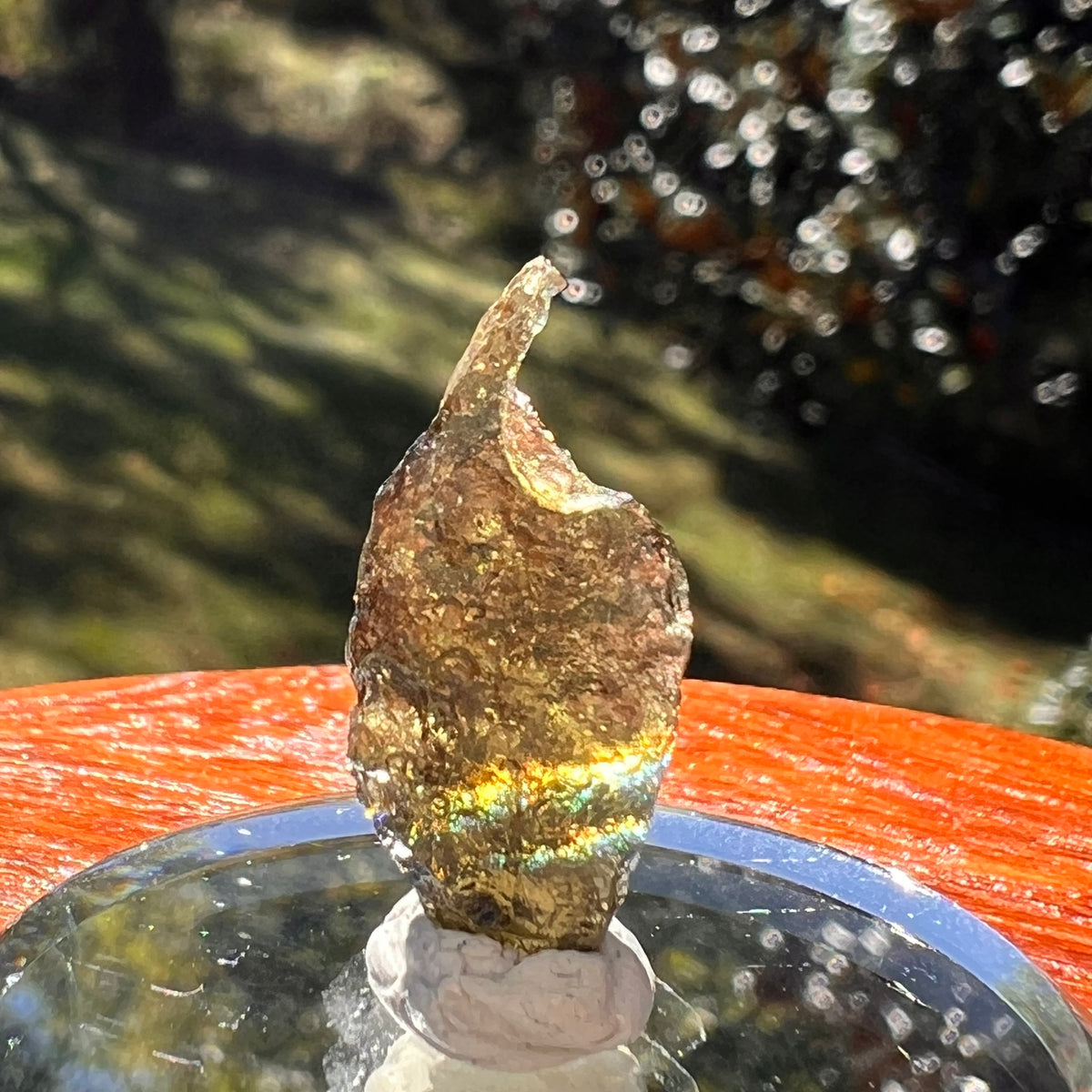 Moldavite 0.8 grams #2346-Moldavite Life