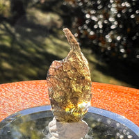 Moldavite 0.8 grams #2346-Moldavite Life