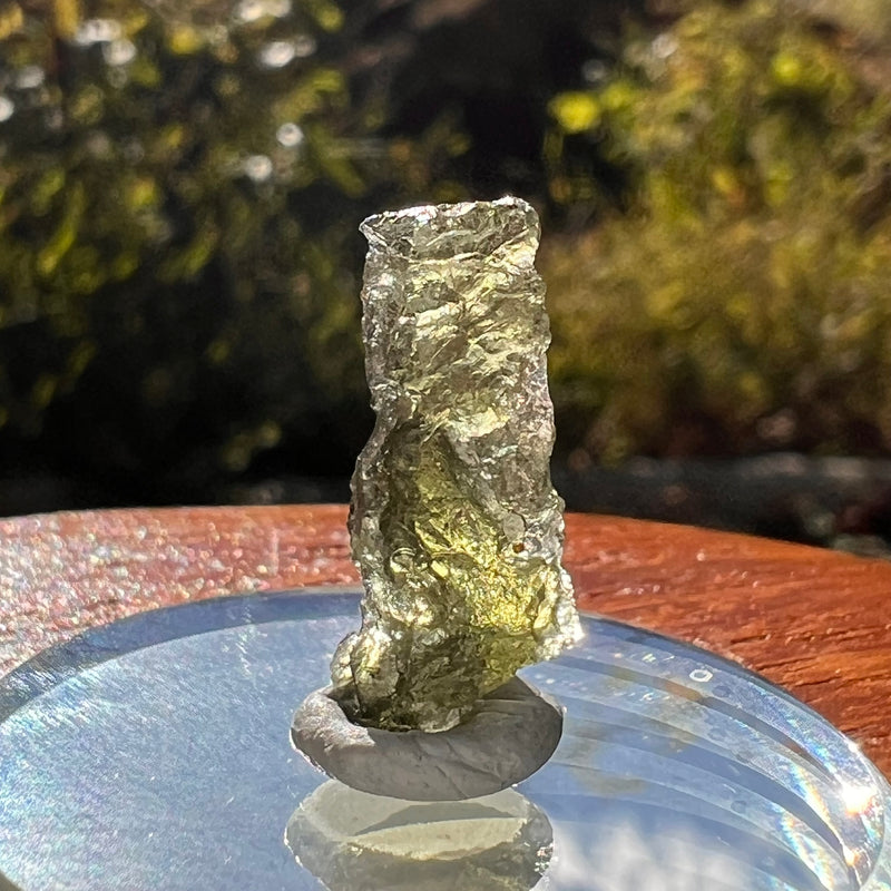 Moldavite 0.8 grams Natural Hole #2298-Moldavite Life