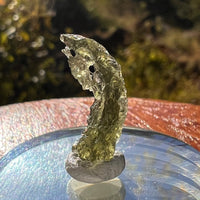 Moldavite 0.8 grams Natural Hole #2298-Moldavite Life