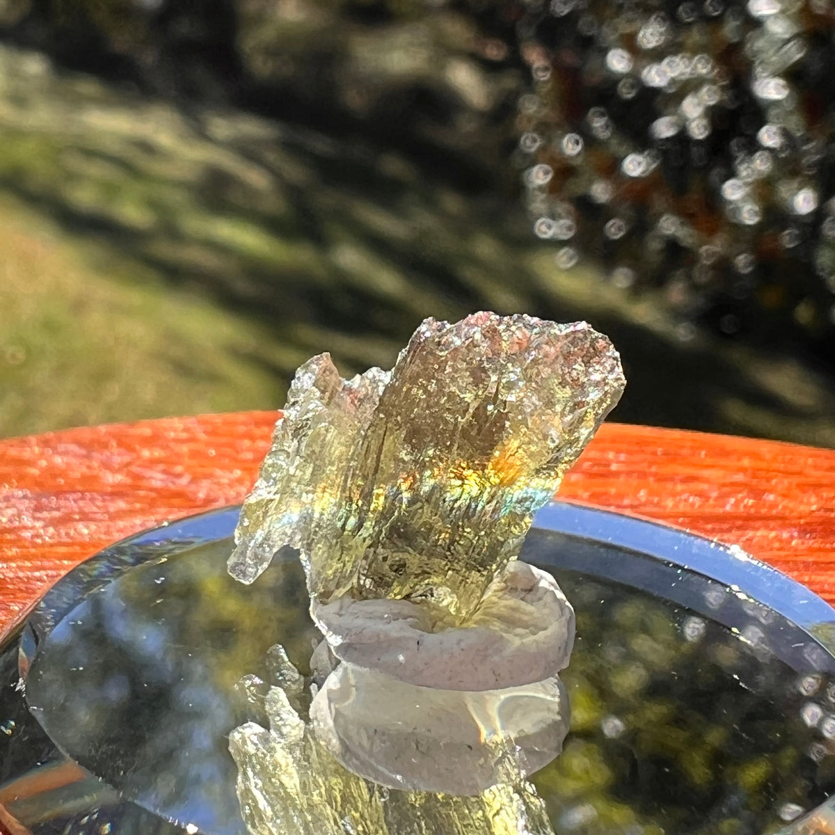 Moldavite 0.9 gram #2334-Moldavite Life
