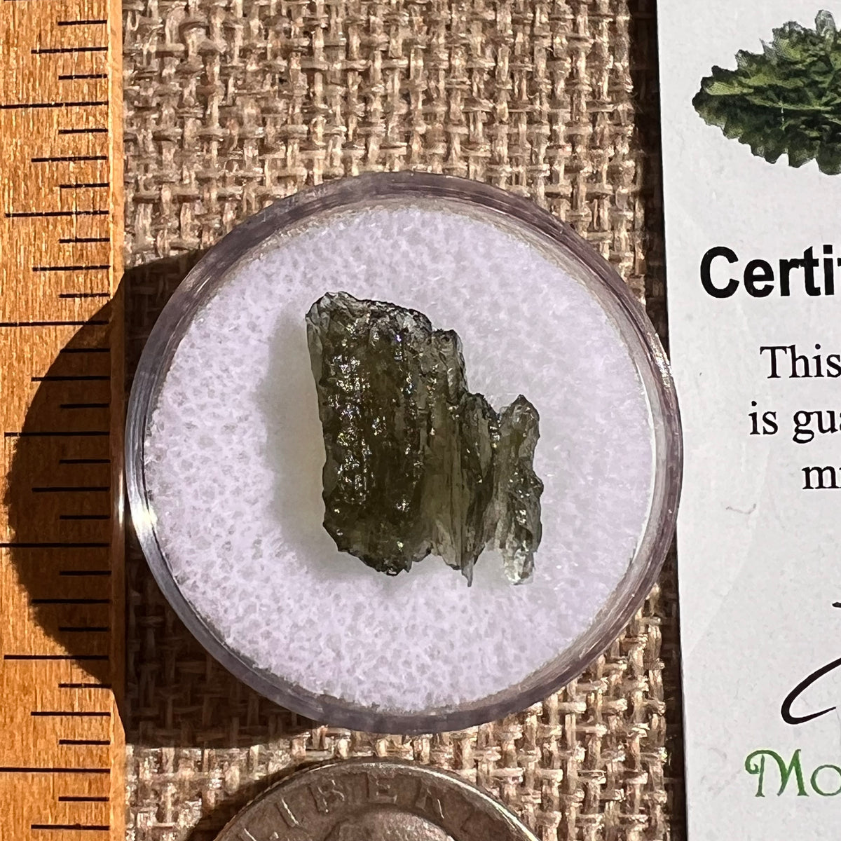 Moldavite 0.9 gram #2334-Moldavite Life