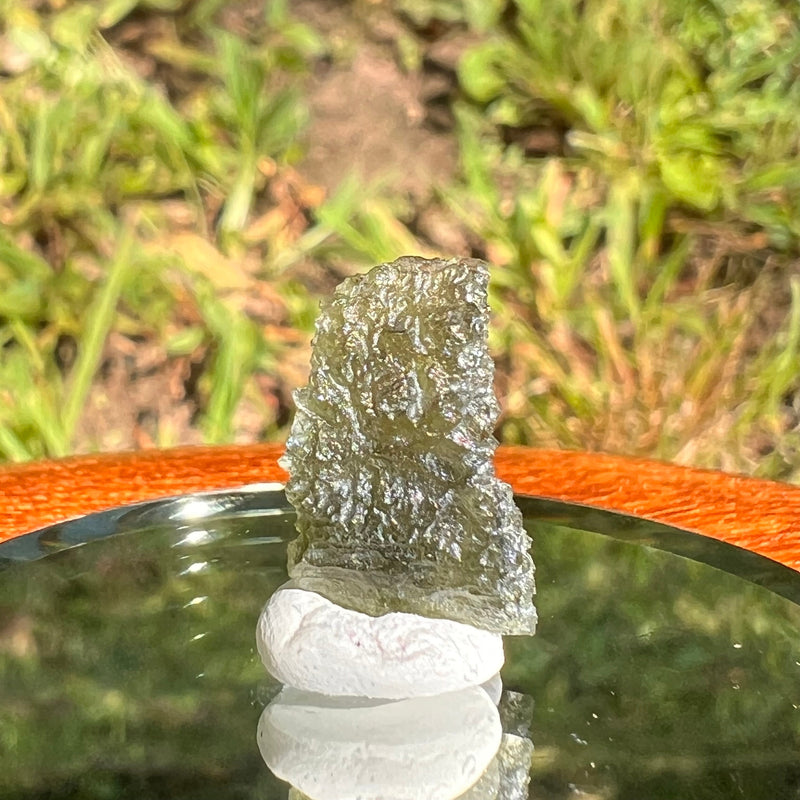 Moldavite 0.9 grams #1679-Moldavite Life