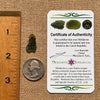 Moldavite 0.9 grams #1683-Moldavite Life