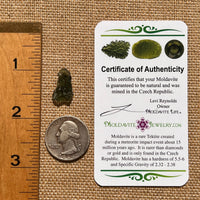 Moldavite 0.9 grams #1683-Moldavite Life