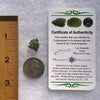 Moldavite 0.9 grams #1798-Moldavite Life