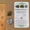 Moldavite 0.9 grams #1818-Moldavite Life