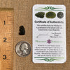 Moldavite 0.9 grams #1824-Moldavite Life