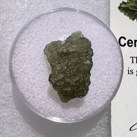 Moldavite 0.9 grams #1835-Moldavite Life