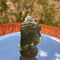 Moldavite 0.9 grams #1835-Moldavite Life