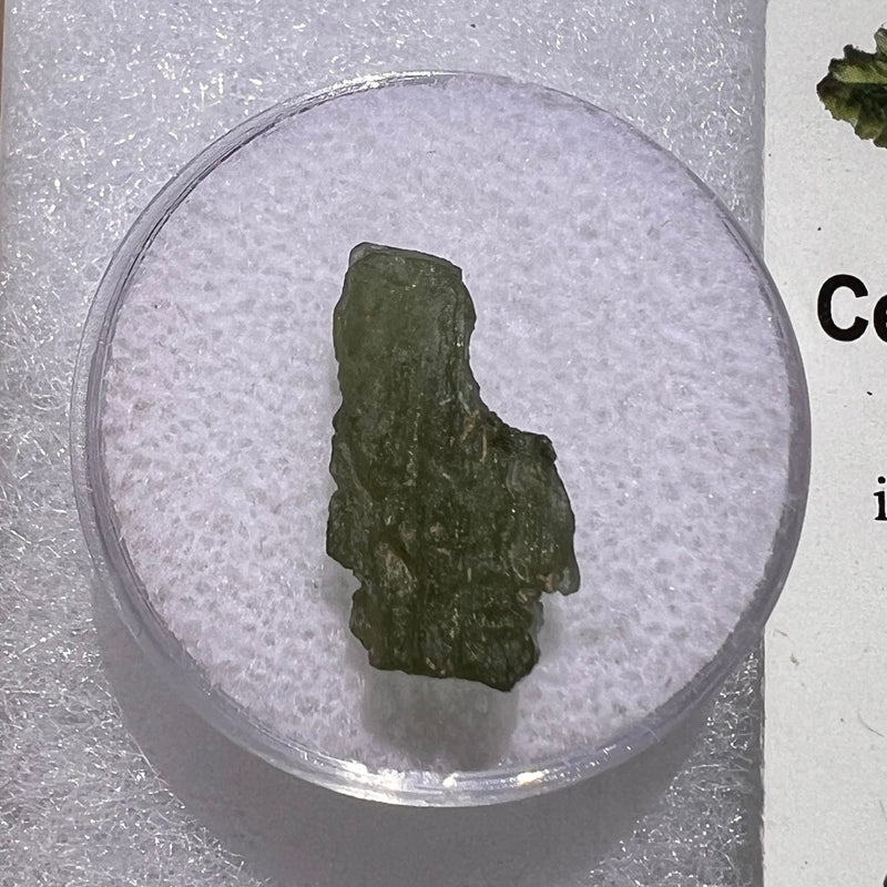 Moldavite 0.9 grams #1839-Moldavite Life