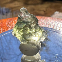 Moldavite 0.9 grams #1876-Moldavite Life