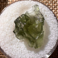 Moldavite 0.9 grams #1876-Moldavite Life