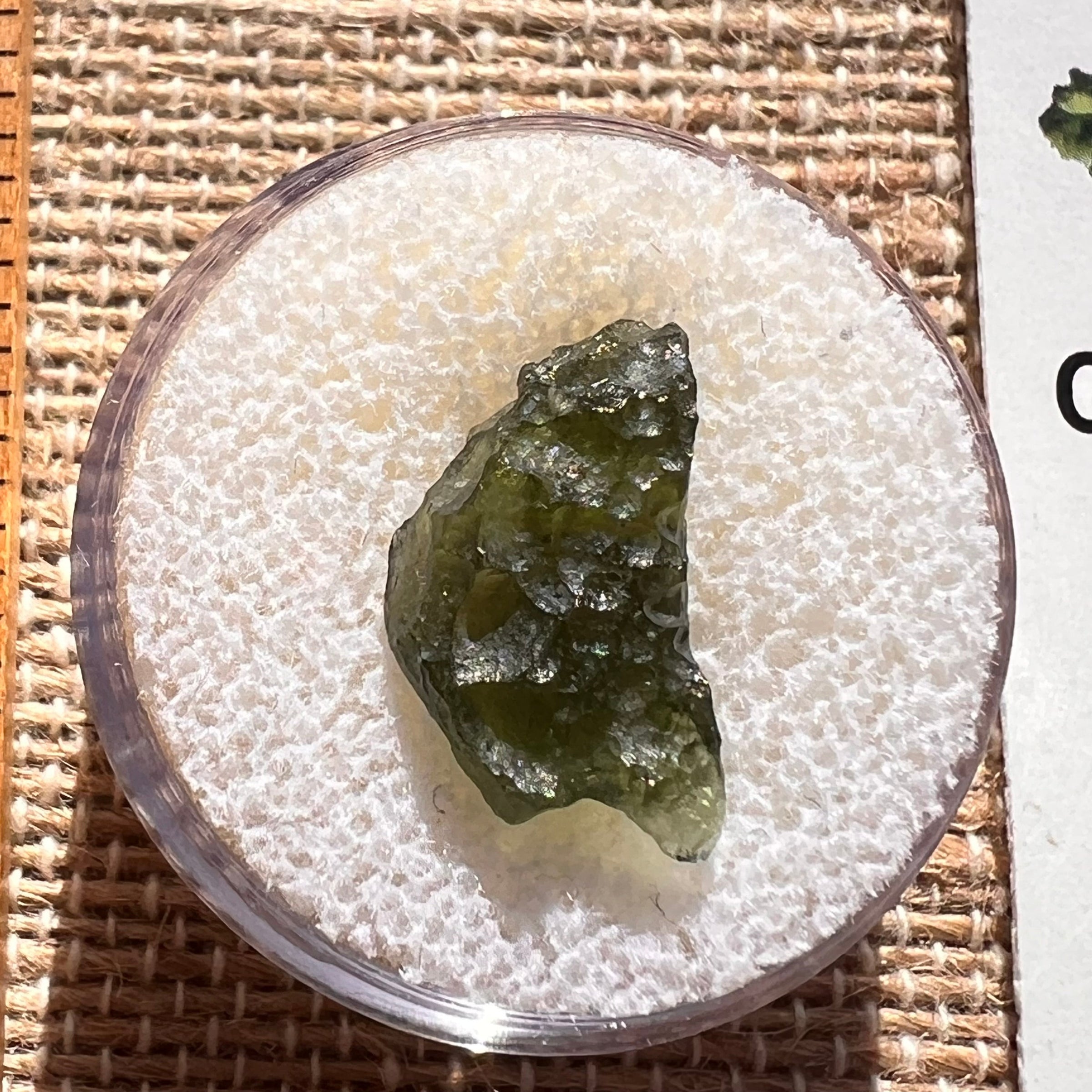 Moldavite 0.9 grams #1985-Moldavite Life