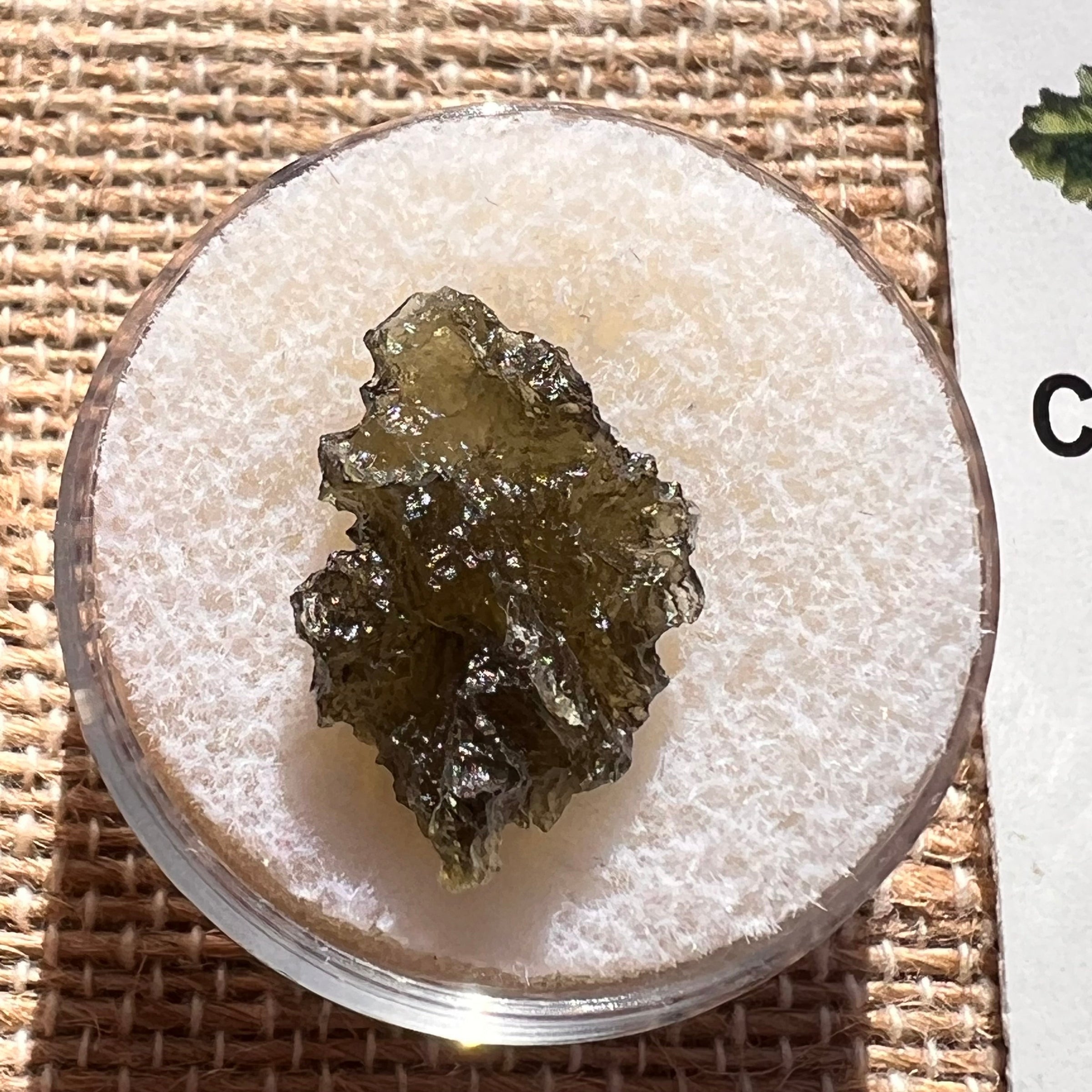 Moldavite 0.9 grams #1987-Moldavite Life
