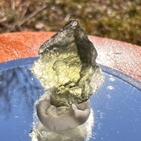 Moldavite 0.9 grams #1988-Moldavite Life