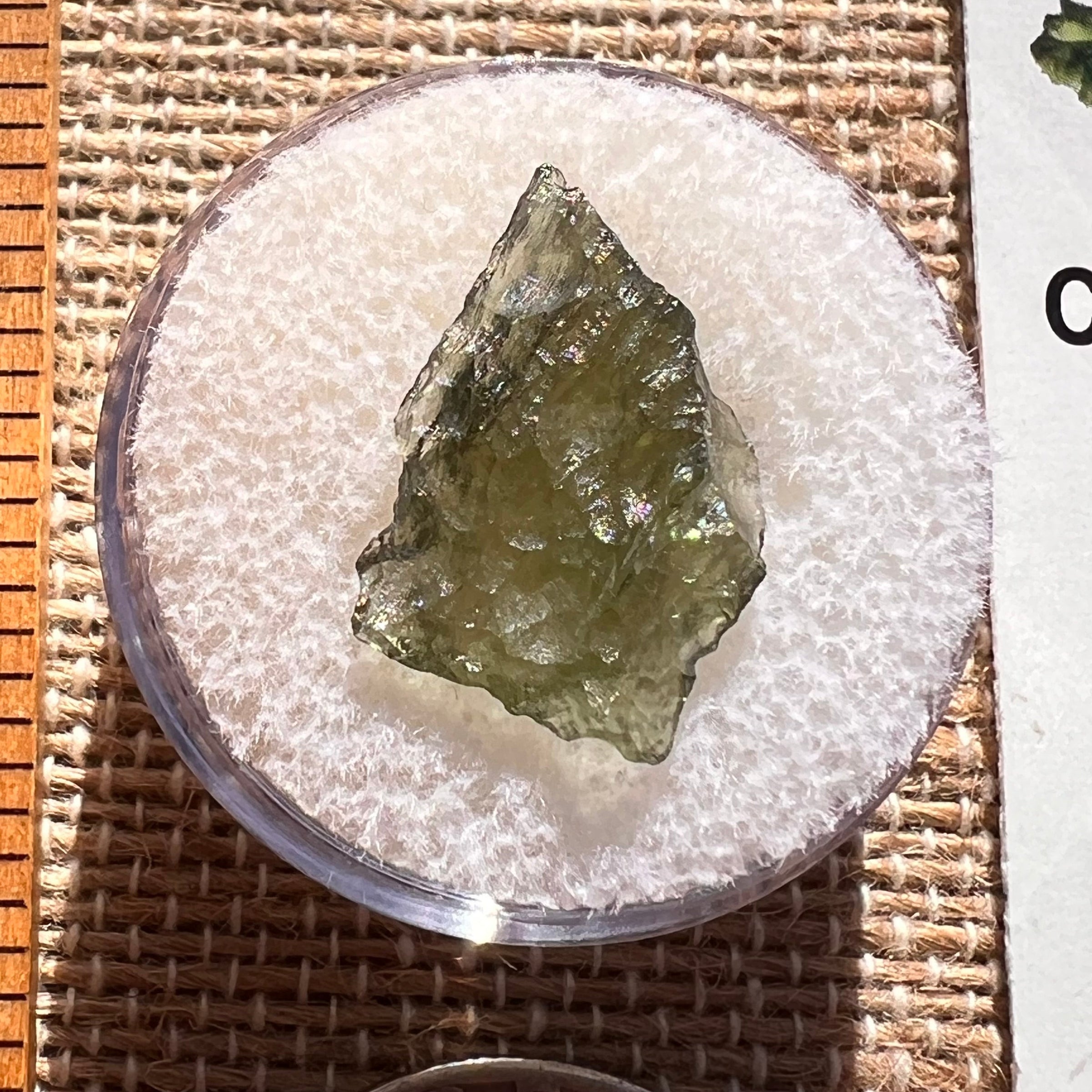 Moldavite 0.9 grams #1988-Moldavite Life