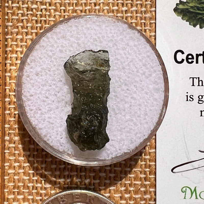 Moldavite 0.9 grams #2076-Moldavite Life