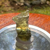 Moldavite 0.9 grams #2076-Moldavite Life