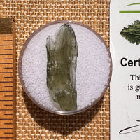 Moldavite 0.9 grams #2077-Moldavite Life