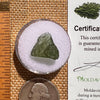 Moldavite 0.9 grams #2080-Moldavite Life