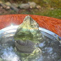 Moldavite 0.9 grams #2080-Moldavite Life