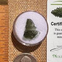 Moldavite 0.9 grams #2084-Moldavite Life