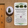 Moldavite 0.9 grams #2084-Moldavite Life