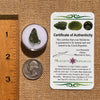 Moldavite 0.9 grams #2087-Moldavite Life