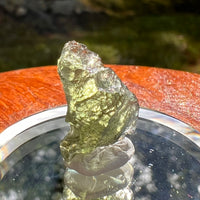 Moldavite 0.9 grams #2087-Moldavite Life