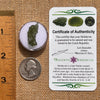 Moldavite 0.9 grams #2088-Moldavite Life