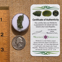 Moldavite 0.9 grams #2088-Moldavite Life
