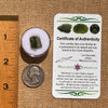 Moldavite 0.9 grams #2090-Moldavite Life