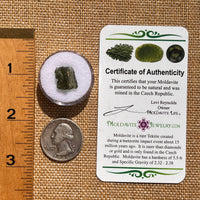 Moldavite 0.9 grams #2090-Moldavite Life
