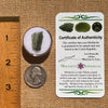 Moldavite 0.9 grams #2093-Moldavite Life