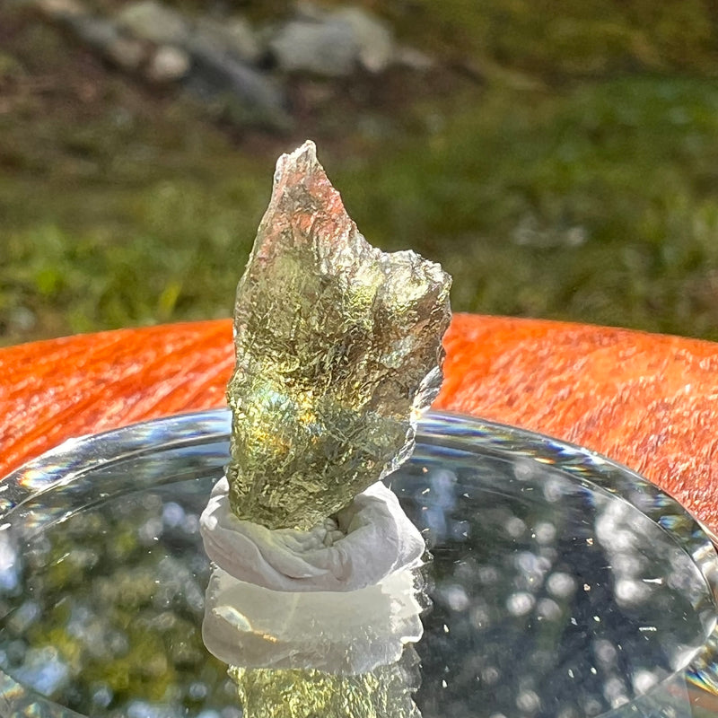 Moldavite 0.9 grams #2095-Moldavite Life
