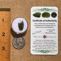 Moldavite 0.9 grams #2095-Moldavite Life