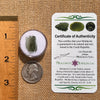 Moldavite 0.9 grams #2096-Moldavite Life