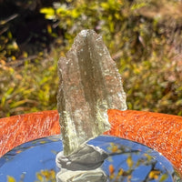 Moldavite 0.9 grams #2241-Moldavite Life