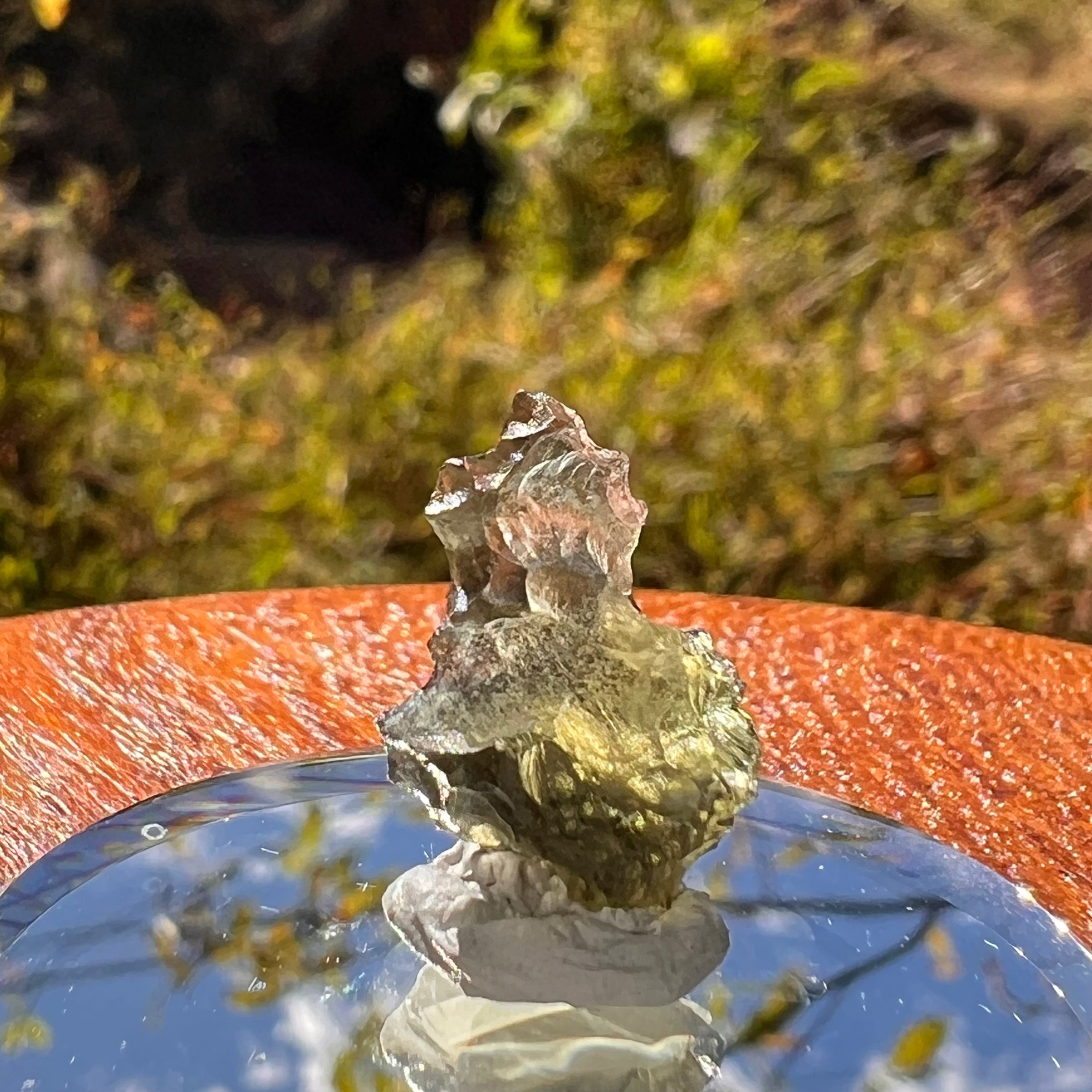 Moldavite 0.9 grams #2248-Moldavite Life