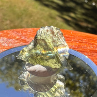 Moldavite 0.9 grams #2329-Moldavite Life