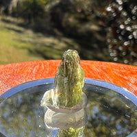 Moldavite 0.9 grams #2329-Moldavite Life