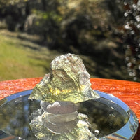 Moldavite 0.9 grams #2329-Moldavite Life